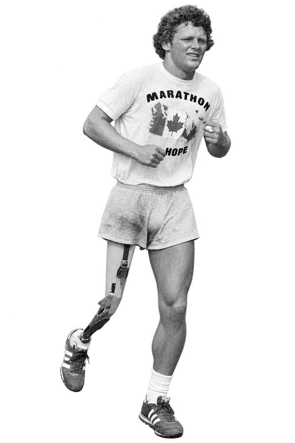 Terry Fox